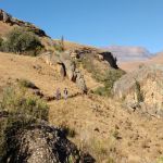 WhatsApp Image 2019-08-07 at 18.17.53 (1)